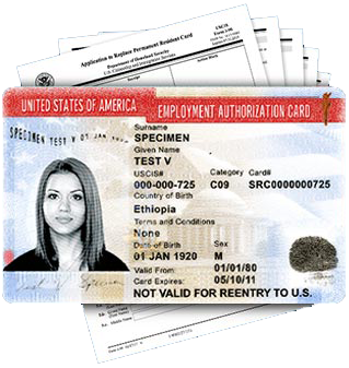 Employment Authorization Card Renewal (EAD) 